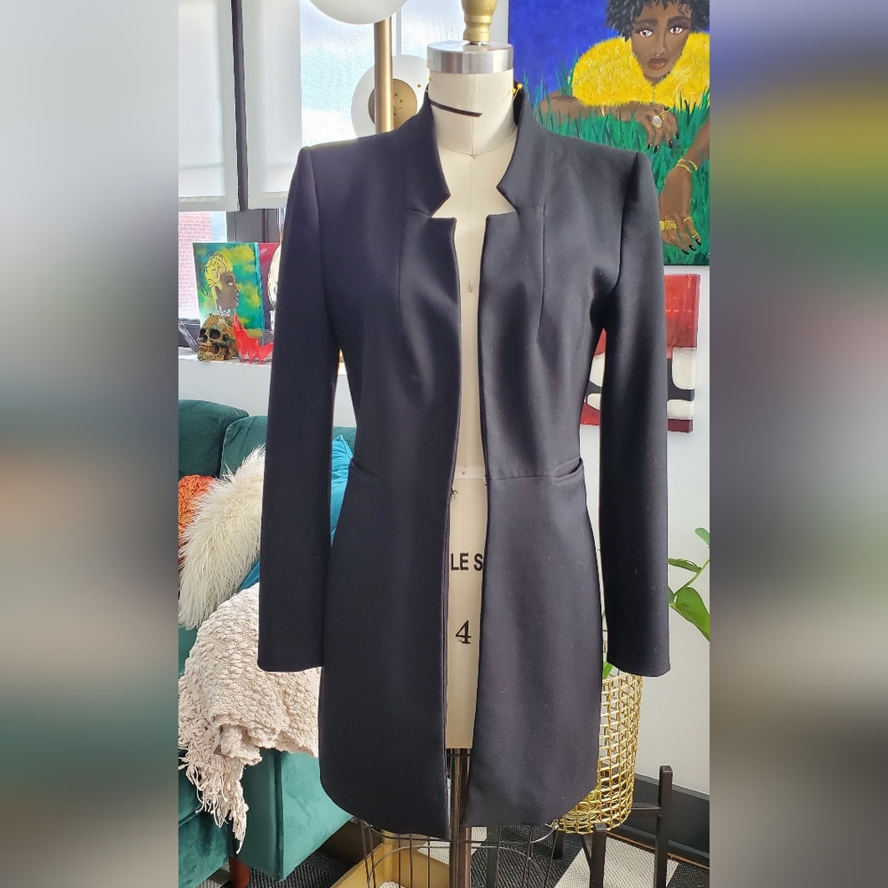 Long Blazer - image 1